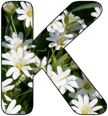 Deko-Buchstaben-Blumen_K.jpg
